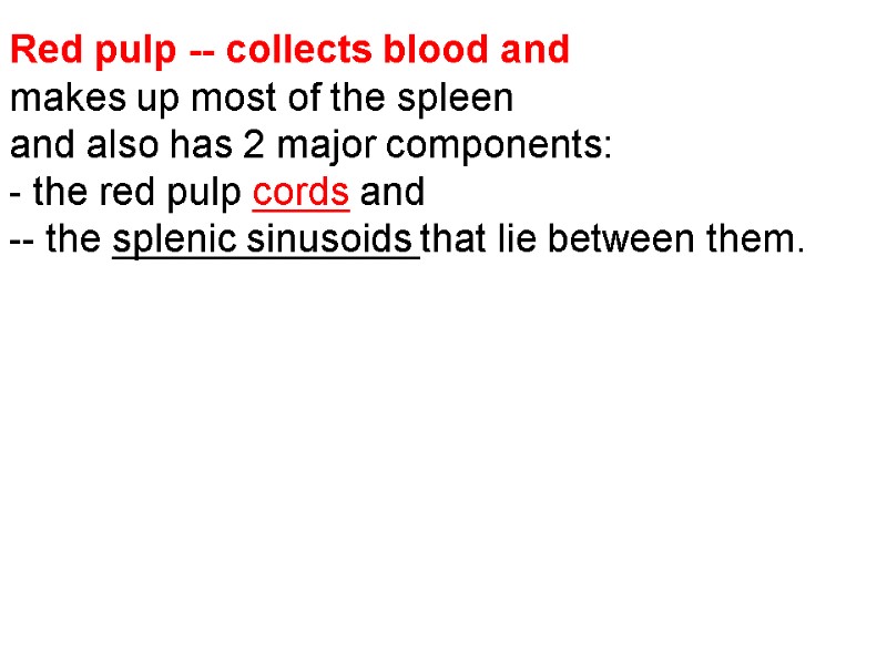 Red pulp -- collects blood and  makes up most of the spleen 